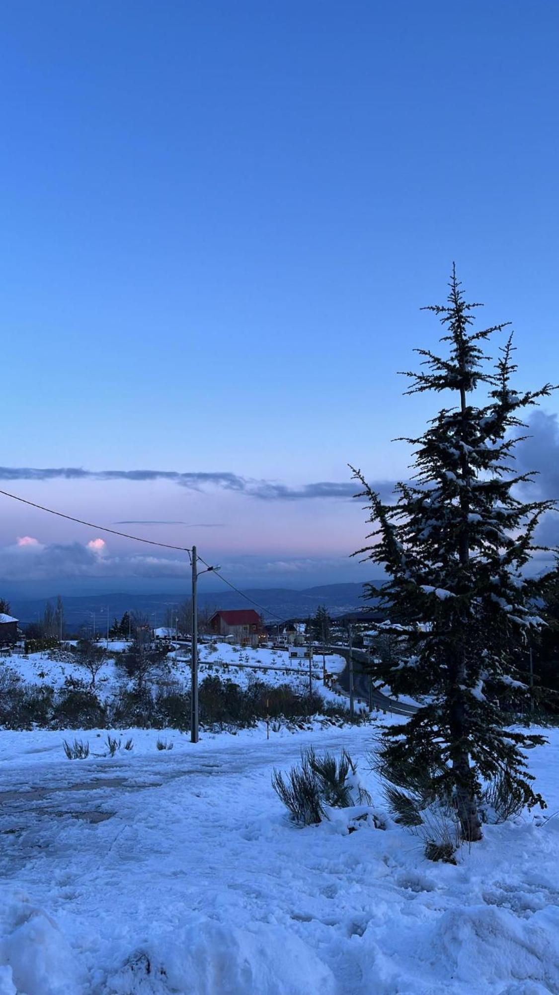 Casa Dos Pinheiros - Serra Da Estrela Пенняш-да-Сауде Екстер'єр фото